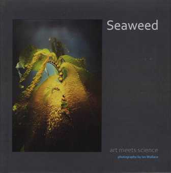 Seaweed: Art meets science