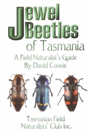 Jewel Beetles of Tasmania